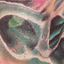 tattoo galleries/ - Skull, morph rose - 11514